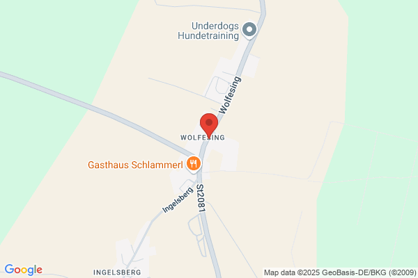 Tierärztliche Klinik für Pferde Wolfesing