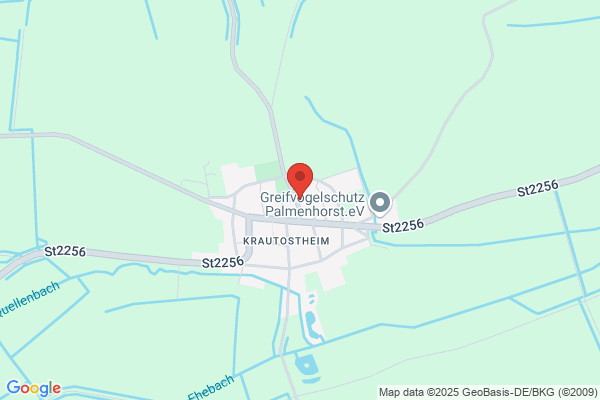 Spatzennest