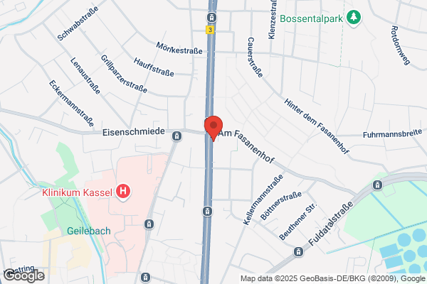 Beate Bauer