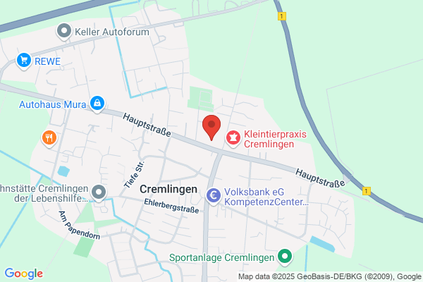 Agentur Hanschke
