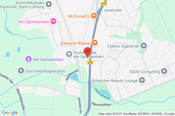 Der Scheibenprofi