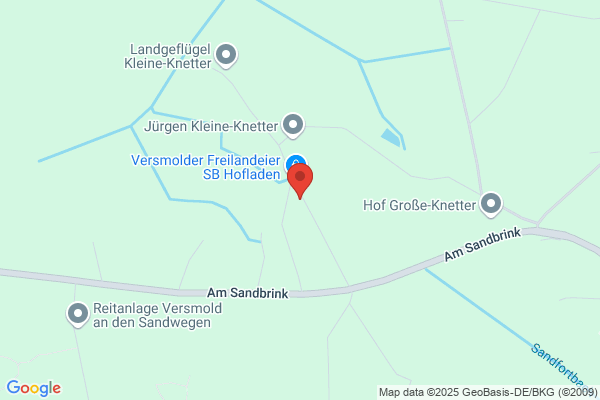 Cordes Immobilien GmbH