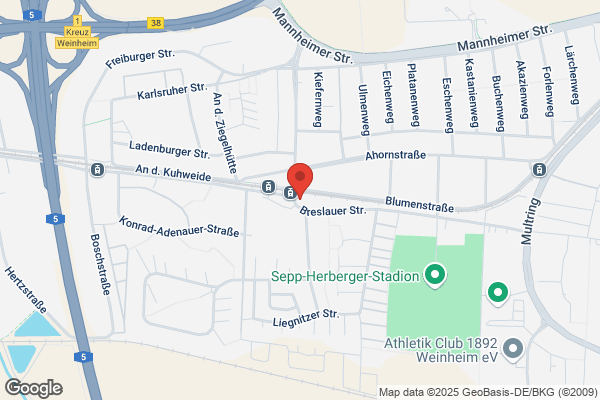 Volksbank Kurpfalz eG - Filiale Weststadt