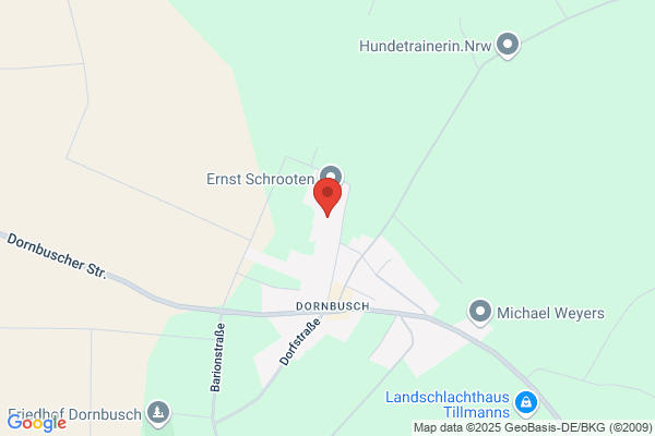 Ralf Regul