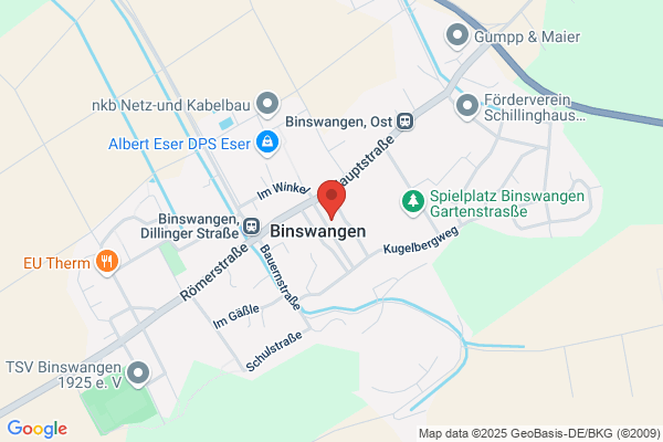Schützenverein Frohsinn Binswangen e.V.