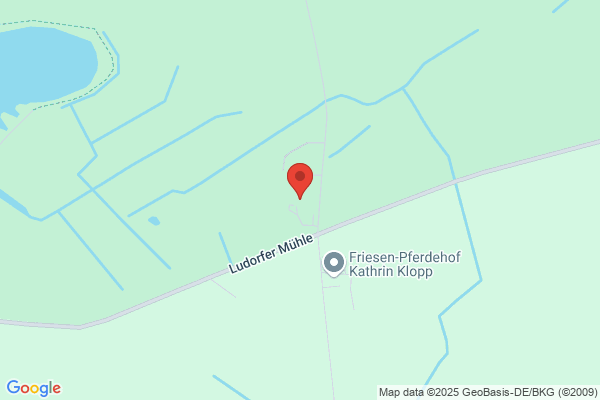 Klaus Hedrich