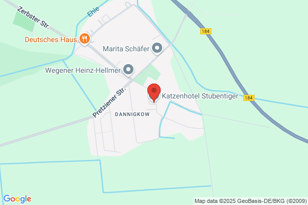 Katzenhotel-Stubentiger