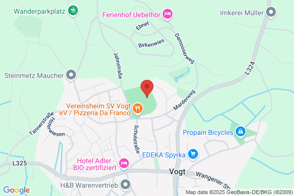Sportverein Vogt