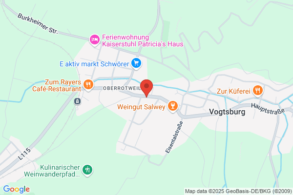 Langenbacher T.