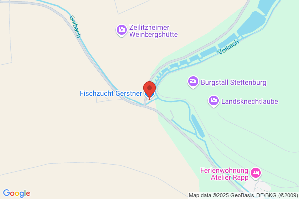 Fisch Gerstner KG