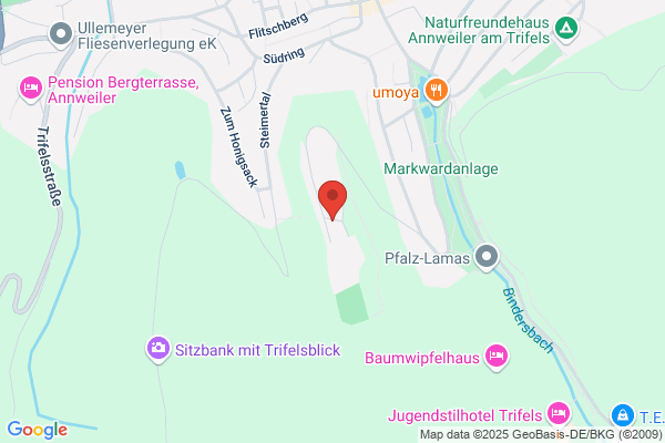 Trifels-Gymnasium