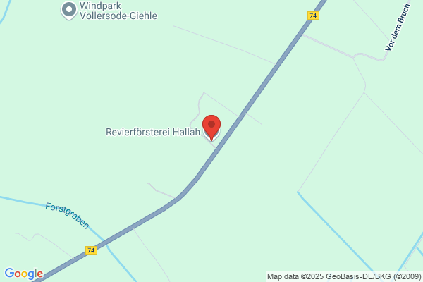 Niedersächsische Landesforsten, Forstamt Hallah