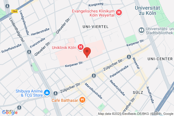Ergotherapeutische Trainingstherapie