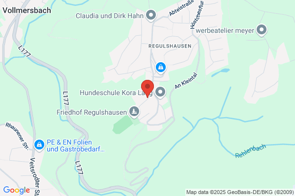 Sportverein 1958 e.V. Regulshausen