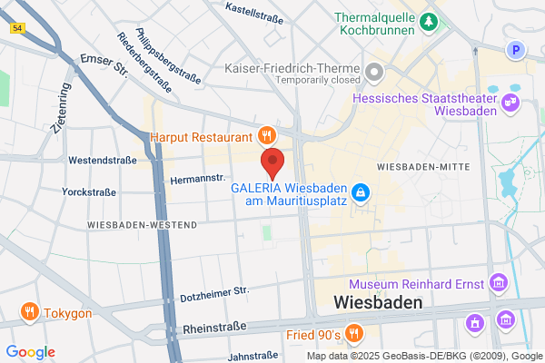 Autoglas Profis Wiesbaden