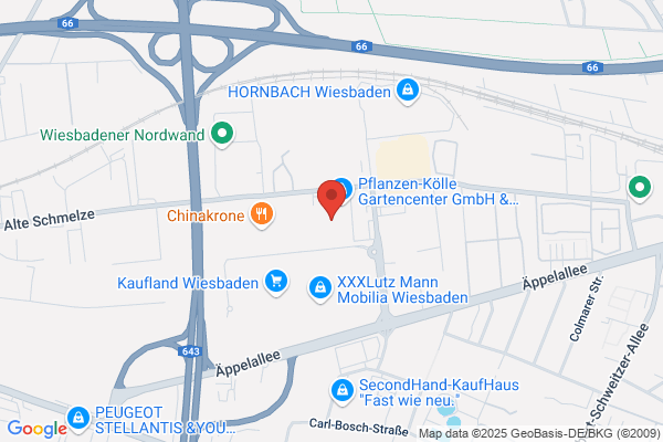 Bambusgarten Co Pflanzenkölle