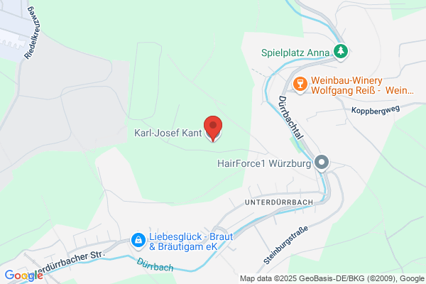 Karl-Josef Kant