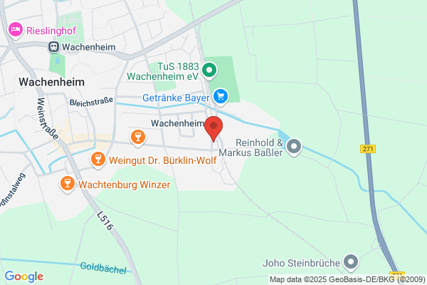 Beate Rauch-Goschke