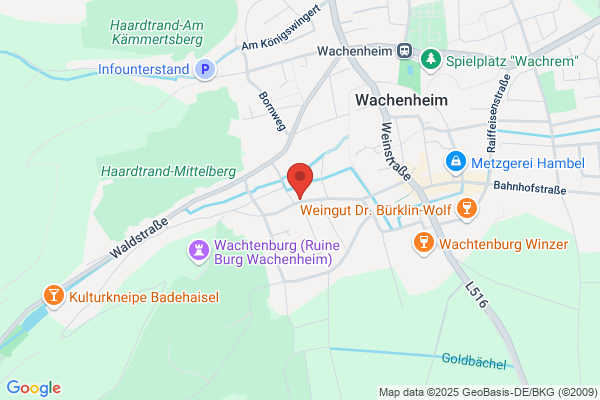 Salon Schnittraum