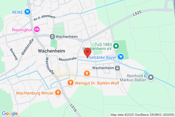 Wolfgang Berger Taxiunternehmen