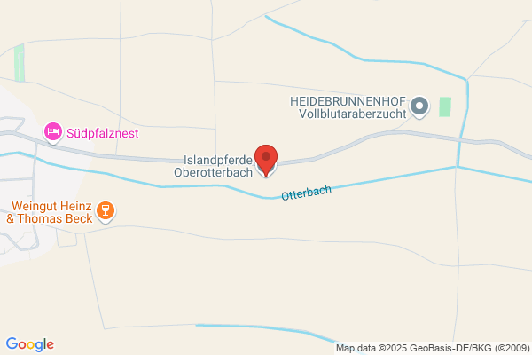Ihn. Claudia Schoch Islandpferde-Reitschule Heidebrunnenhof