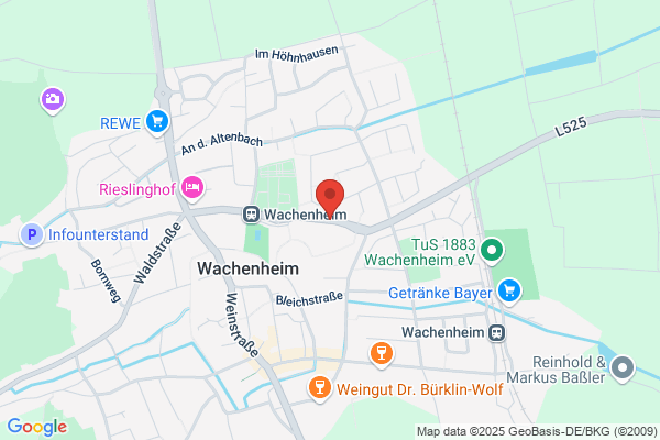 Stadt Wachenheim