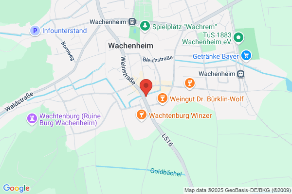 Stadt Wachenheim Jugend-Kultur-Treff De Saftlade