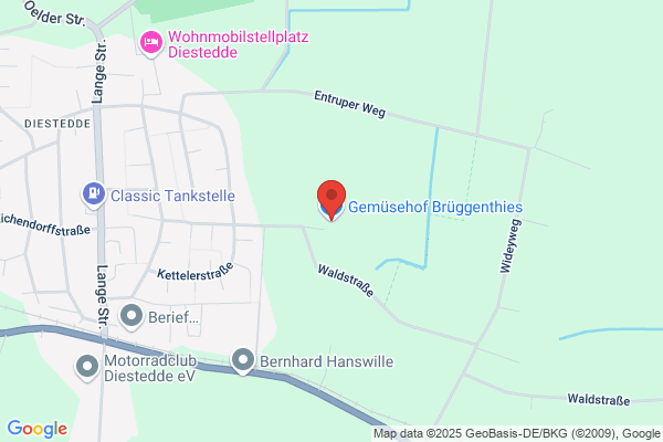 Brüggenthies KG Gemüsebau