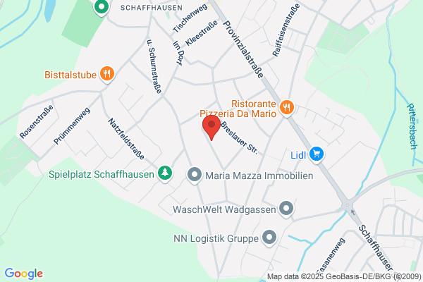 Auto Jungfleisch GmbH