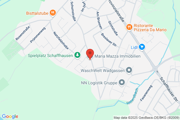 Immobilien Maas