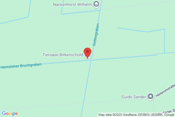 Das Shettyparadies - Ponyreiten in Wagenfeld