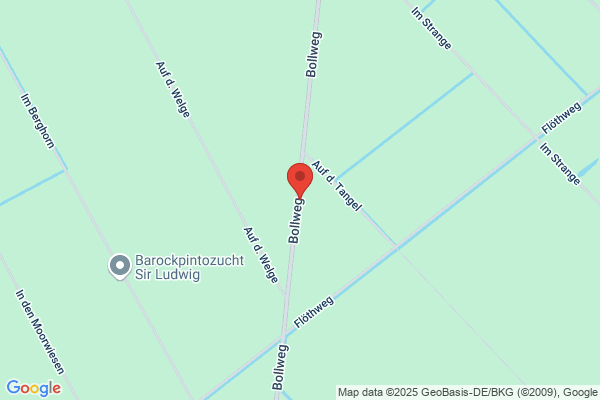 Hille Zeltverleih GmbH