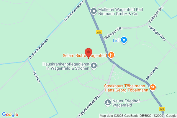 meritus Seniorenzentrum Wagenfeld