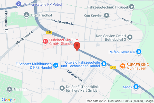 Autoglas Service