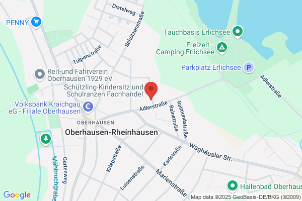 Böllinger Peter GmbH