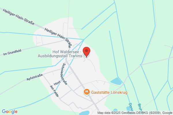 Hof Waldersee - Ausbildungsstall Tranins