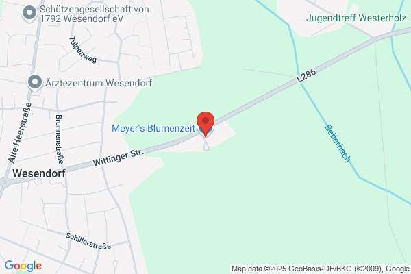 Meyer`s Blütezeit