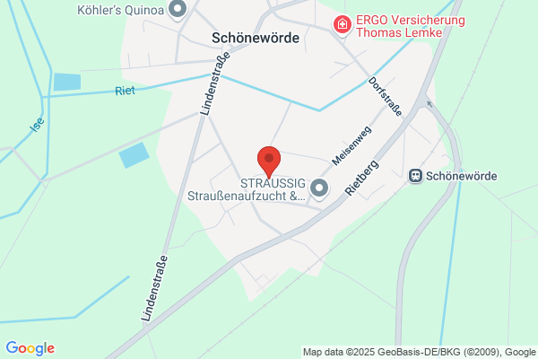 P+F Industrie-Elektronik GmbH