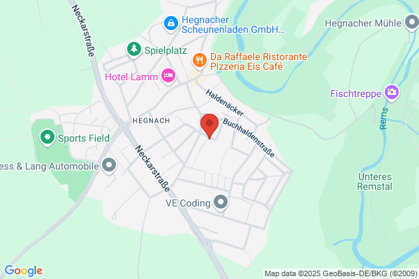 Burgschule Hegnach