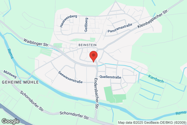 Noblesse Brows - Microblading Waiblingen