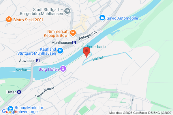 Neckarblick