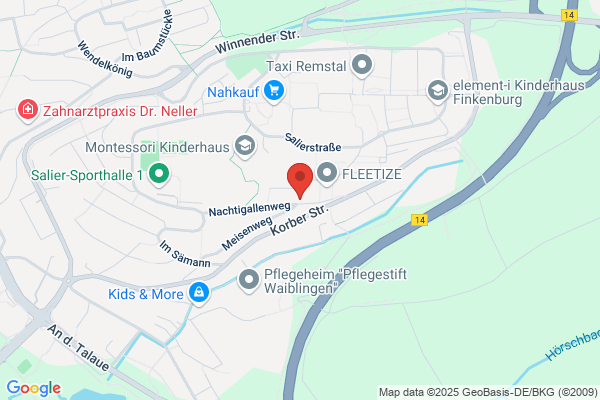 Seeger der Maler