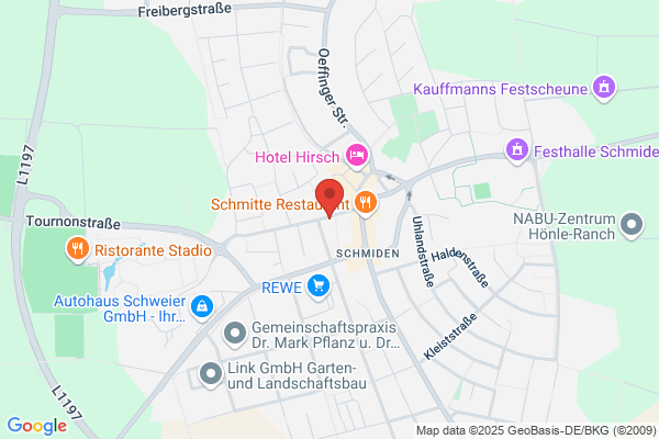 Schädlingsbekämpfung - Dold Service - Florian Dold