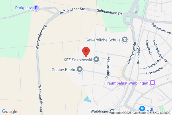 Roche PVT GmbH