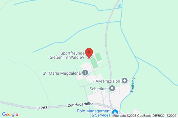 Sportfreunde Sießen im Wald e.V.