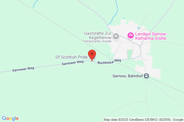 Winfried Mennle