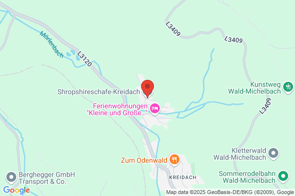 Shropshireschafe-Kreidach