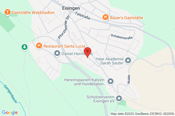 Gesangverein "Einigkeit" Eisingen e.V.