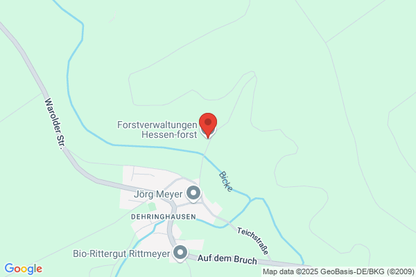Hessen-Forst