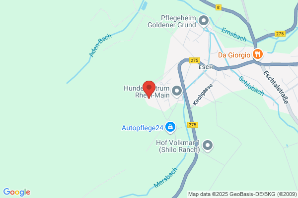 Insight Health GmbH & Co. KG